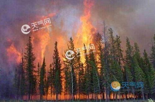 神木火灾原因?神木明天的天气情况-图2 神木火灾原因?神木明天的天气情况-图2