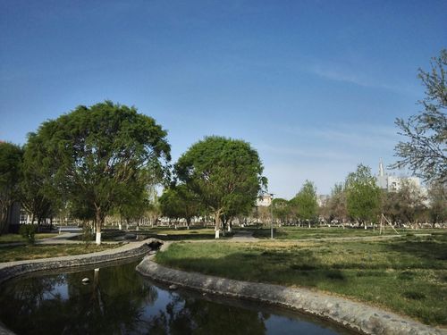 若羌县南北多少公里?轮台县天气情况-图3 若羌县南北多少公里?轮台县天气情况-图3
