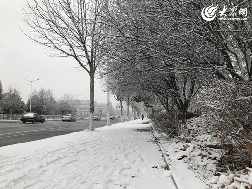 青岛莱西下雪了吗？莱西今天夜间天气情况