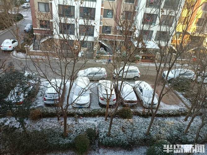 青岛莱西下雪了吗?莱西今天夜间天气情况-图2 青岛莱西下雪了吗?莱西今天夜间天气情况-图2