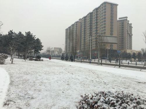 太原市街道上现在有雪吗?16号太原天气情况-图2 太原市街道上现在有雪吗?16号太原天气情况-图2