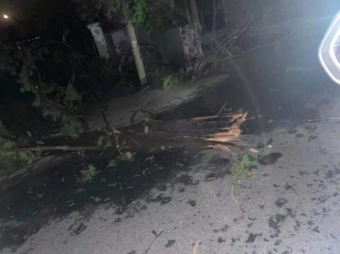 如东县哪些地方下冰雹了?近期如东的天气情况-图3 如东县哪些地方下冰雹了?近期如东的天气情况-图3