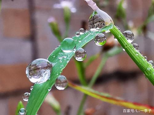 辽宁地区现在早晨有露水没?辽宁天气情况周六-图2 辽宁地区现在早晨有露水没?辽宁天气情况周六-图2