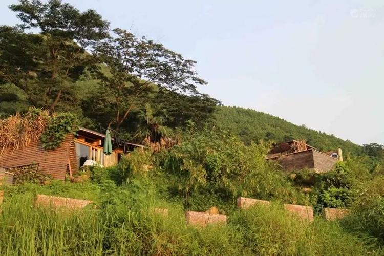 想在黑龙江一带找一处山野山林过隐居生活，有合适的地方吗？铁力今天的天气情况
