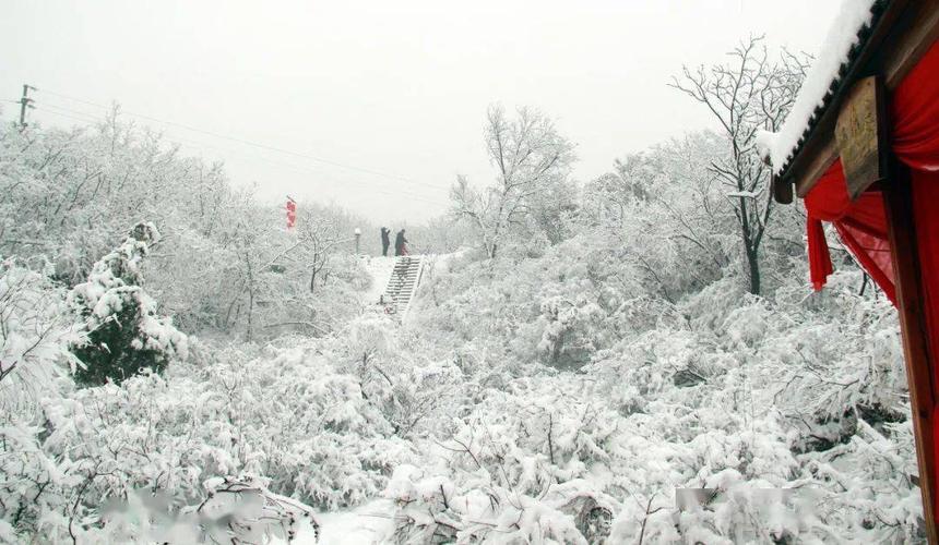 2021年9月16焦作下雪了吗?河南焦作最近天气情况-图2 2021年9月16焦作下雪了吗?河南焦作最近天气情况-图2