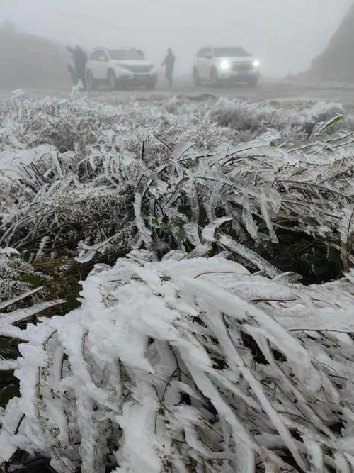 玉林大容山今天下雪吗?23号玉林天气情况-图1 玉林大容山今天下雪吗?23号玉林天气情况-图1