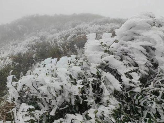 玉林大容山今天下雪吗?23号玉林天气情况-图2 玉林大容山今天下雪吗?23号玉林天气情况-图2