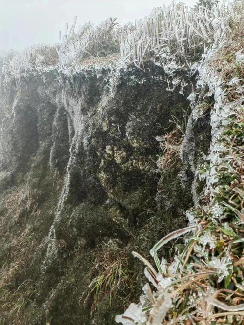 玉林大容山今天下雪吗?23号玉林天气情况-图3 玉林大容山今天下雪吗?23号玉林天气情况-图3