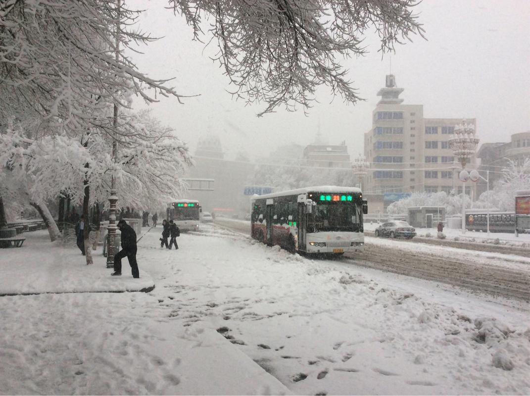抚顺今天雪大吗?抚顺县天气情况-图2 抚顺今天雪大吗?抚顺县天气情况-图2