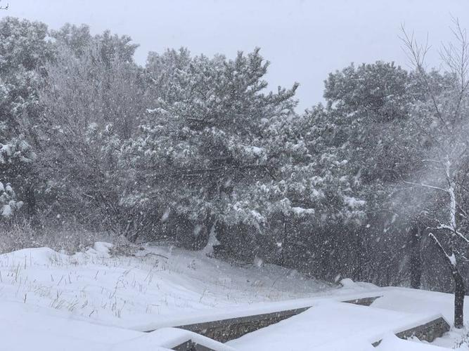 安阳下雪了这次下雪是人工降雪吗?安阳21号天气情况-图3 安阳下雪了这次下雪是人工降雪吗?安阳21号天气情况-图3