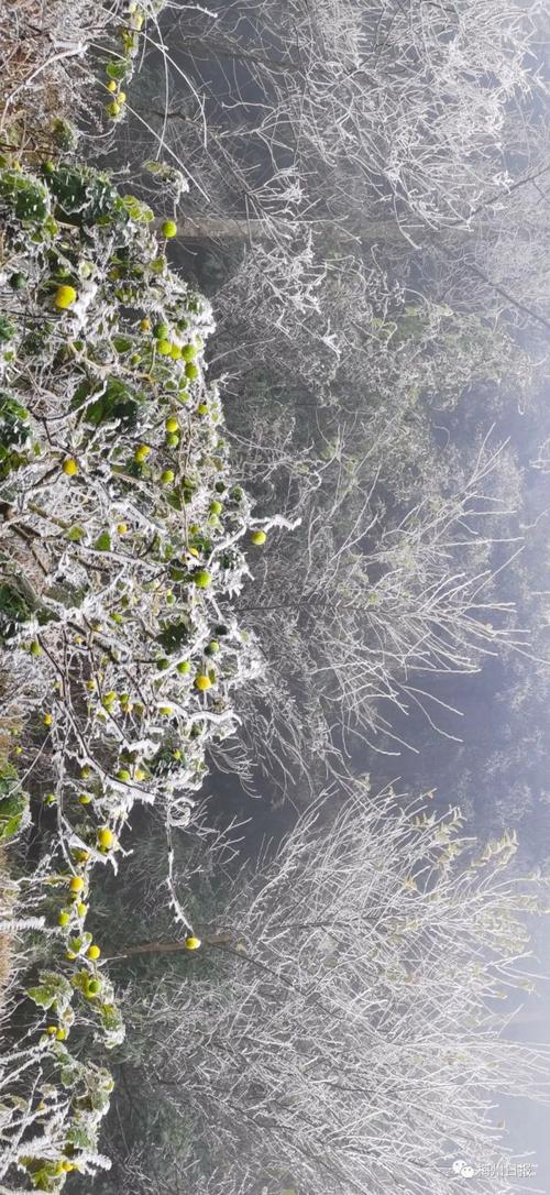 梅州下雪是真的吗？梅州今天的天气情况