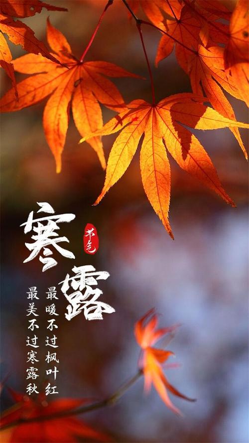 一九五八年的寒露是哪天?往年戊戌年天气情况-图3 一九五八年的寒露是哪天?往年戊戌年天气情况-图3