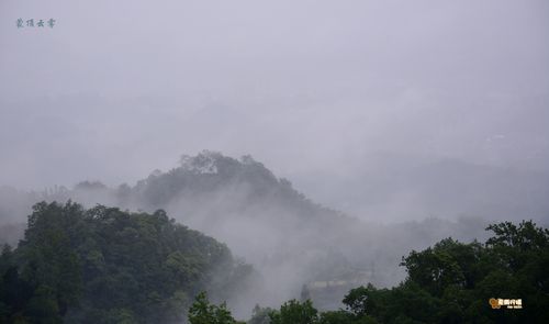 求问蒙顶山山顶气温？蒙山县天气情况