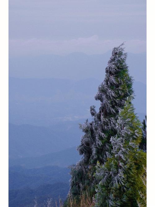 龙岩天宫山下雪了吗?龙岩26号天气情况-图1 龙岩天宫山下雪了吗?龙岩26号天气情况-图1