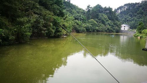 新晃钓鱼最佳地点？新晃历史天气情况查询