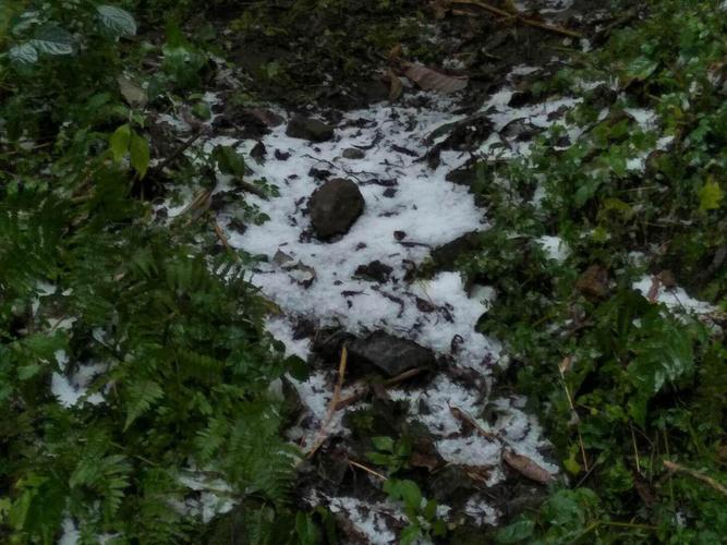 云南最冷的5个县?云南贡山县天气情况-图3 云南最冷的5个县?云南贡山县天气情况-图3