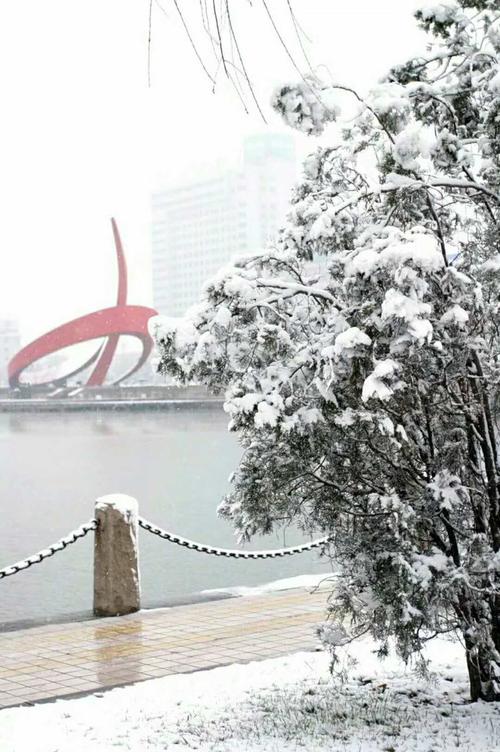德州的雪化了吗?德州最近的天气情况-图3 德州的雪化了吗?德州最近的天气情况-图3