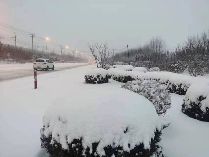 旅顺雪大吗?旅顺明天的天气情况-图2 旅顺雪大吗?旅顺明天的天气情况-图2
