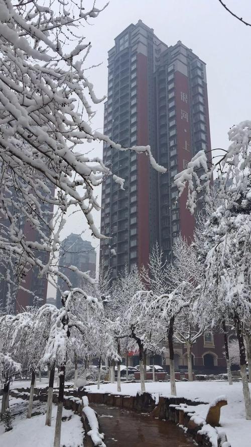 旅顺雪大吗?旅顺明天的天气情况-图3 旅顺雪大吗?旅顺明天的天气情况-图3