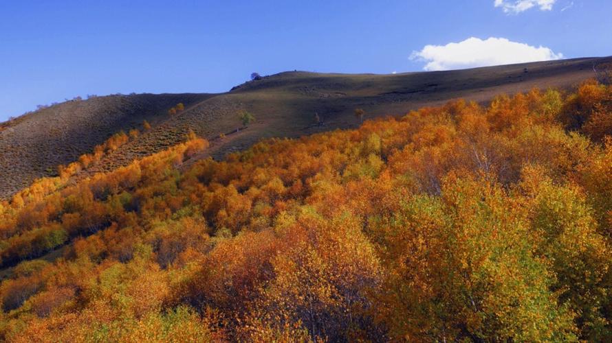 为什么黄花沟很冷?黄花沟的天气情况-图2 为什么黄花沟很冷?黄花沟的天气情况-图2
