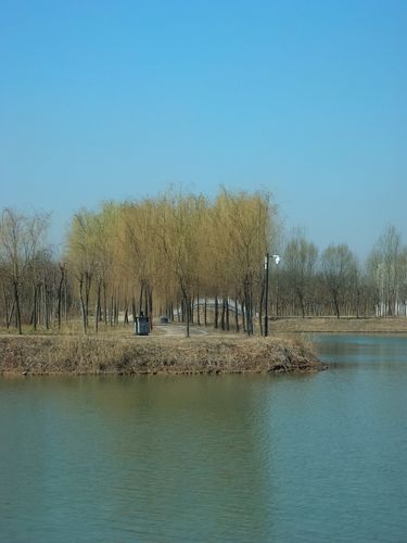 虞城道北生态公园啥时候开工?虞城今天的天气情况-图3 虞城道北生态公园啥时候开工?虞城今天的天气情况-图3
