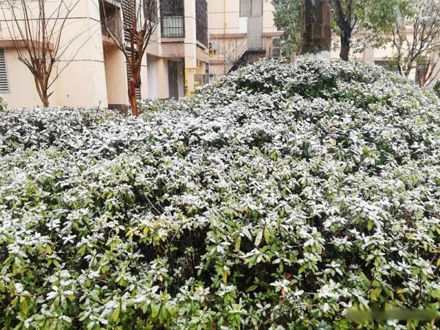 岳阳天气有大雪下吗?岳阳现在的天气情况-图3 岳阳天气有大雪下吗?岳阳现在的天气情况-图3
