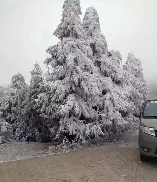 湖南邵阳今年冬天还会下雪吗?今天邵阳的天气情况-图3 湖南邵阳今年冬天还会下雪吗?今天邵阳的天气情况-图3
