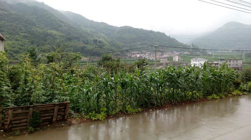 湖北房县气候适合种植什么果树？今天房县的天气情况
