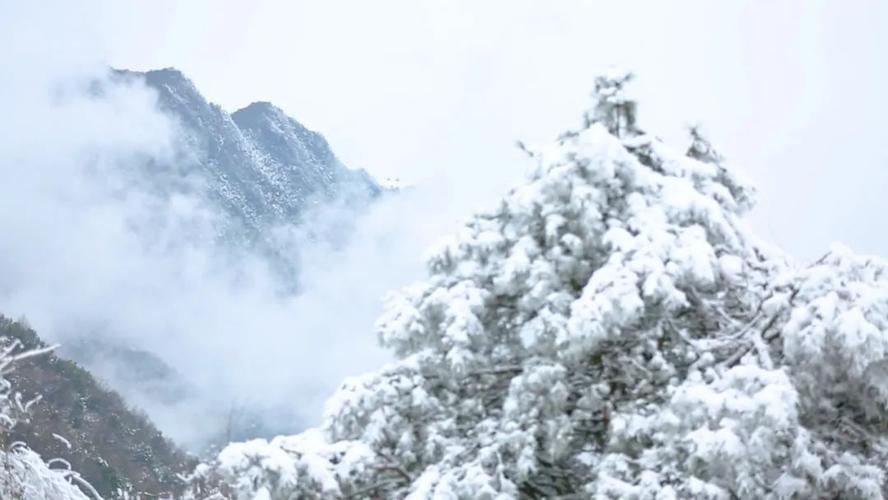 宝山旅游景区下雪了吗？天气情况宝山区