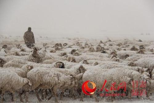 山丹军马场九月份冷不冷?今天山丹天气情况-图3 山丹军马场九月份冷不冷?今天山丹天气情况-图3