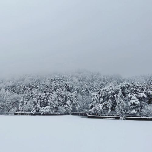 庐山秀峰下雪了吗？明天庐山的天气情况-图3