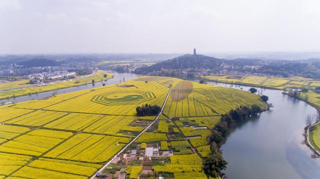 2023年潼南油菜花开了吗？重庆潼南天气情况