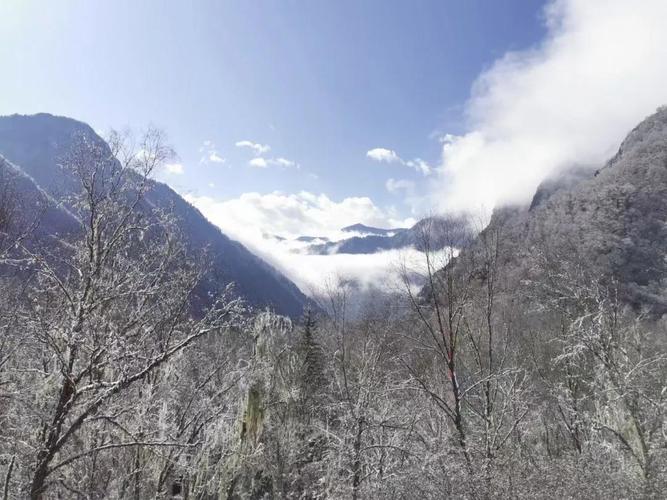 松坪沟下雪了吗?松坪沟天气情况-图1 松坪沟下雪了吗?松坪沟天气情况-图1