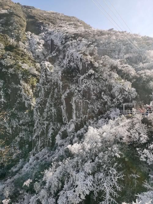 冬天莽山怎么玩?宜章12号天气情况-图2 冬天莽山怎么玩?宜章12号天气情况-图2