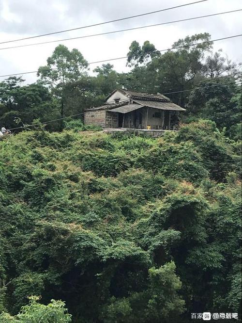 想在黑龙江一带找一处山野山林过隐居生活，有合适的地方吗？孙吴县天气情况