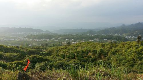 湖南石门县有什么特产?湖南石门的天气情况-图3 湖南石门县有什么特产?湖南石门的天气情况-图3