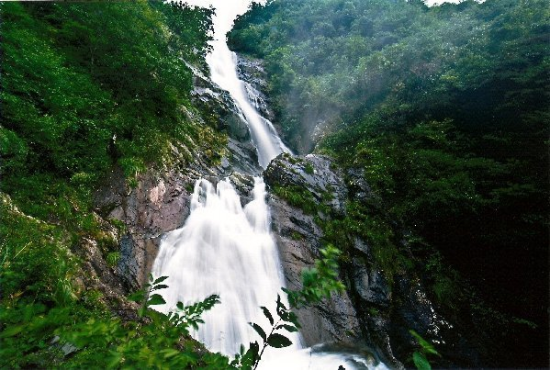 几月份去临安天目山好?天目山天气情况-图2 几月份去临安天目山好?天目山天气情况-图2