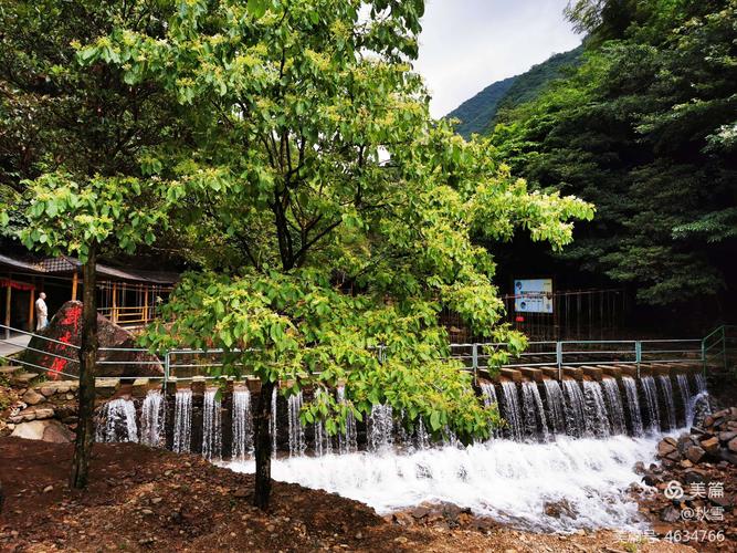 几月份去临安天目山好?天目山天气情况-图3 几月份去临安天目山好?天目山天气情况-图3