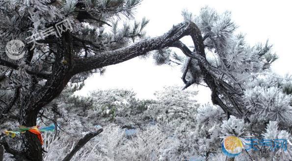 庐山一月十号会下雪吗？江西10号天气情况