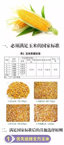 甘肃各县玉米价格多少钱一斤?康乐县天气情况-图3 甘肃各县玉米价格多少钱一斤?康乐县天气情况-图3