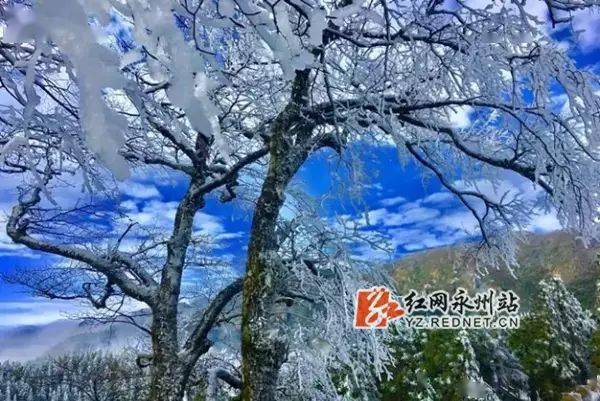 春节去湖南云冰山冷吗？春节期间永州天气情况-图3