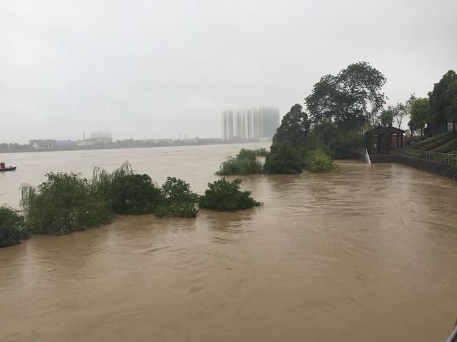 资阳雁江今晚有雨吗？今天资阳天气情况-图3