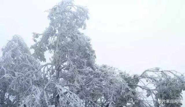 清远连州为什么会下雪？连州17号天气情况