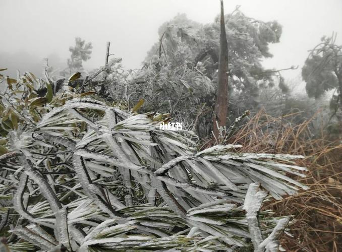 清远连州为什么会下雪？连州17号天气情况-图2