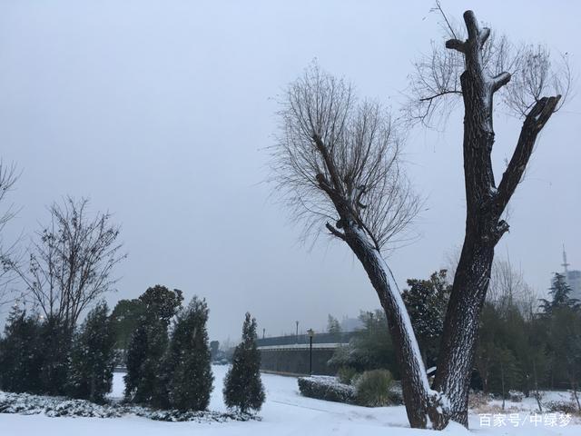 南阳下大雪了吗?南阳冬天天气情况-图1 南阳下大雪了吗?南阳冬天天气情况-图1