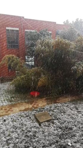 南阳下大雪了吗?南阳冬天天气情况-图2 南阳下大雪了吗?南阳冬天天气情况-图2