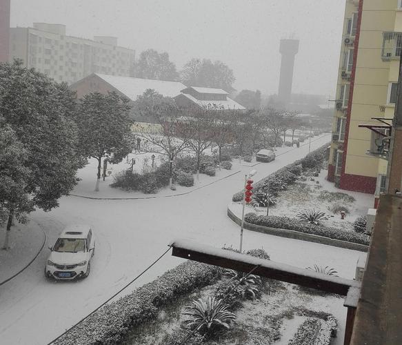 南阳下大雪了吗?南阳冬天天气情况-图3 南阳下大雪了吗?南阳冬天天气情况-图3