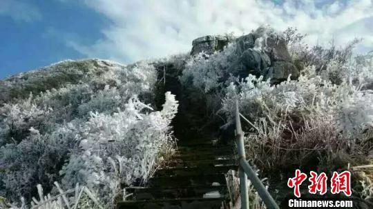 清远金子山23号有下雪吗?26清远天气情况-图1 清远金子山23号有下雪吗?26清远天气情况-图1
