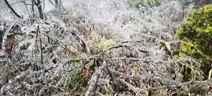 衢州七里下雪了吗？衢州4号天气情况-图3