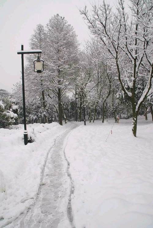 南平下雪的地方有哪些？蒲城今天的天气情况